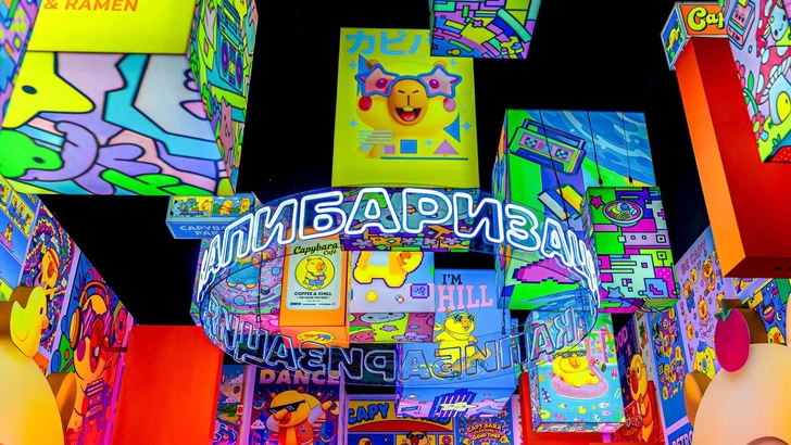 В «Москвариуме» открылась новая мультимедийная выставка «Капибарабуум» | Источник: Пресс-служба