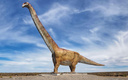 Гигант среди гигантов: каким был самый большой динозавр