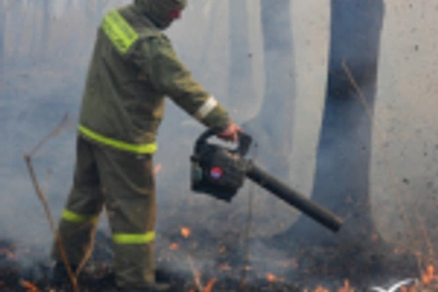 Девять пожаров потушили в Приморье за сутки