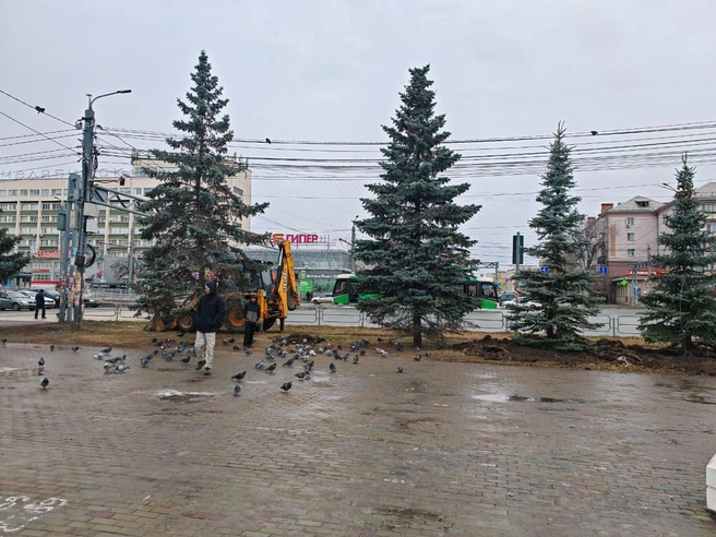 Новые ели отлично вписались в облик площади | Источник: kdhchel / t.me