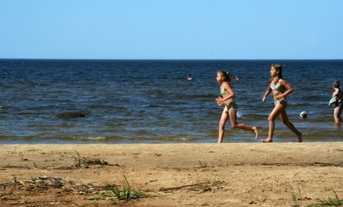 В Ленобласти можно купаться только на 16 безопасных пляжах