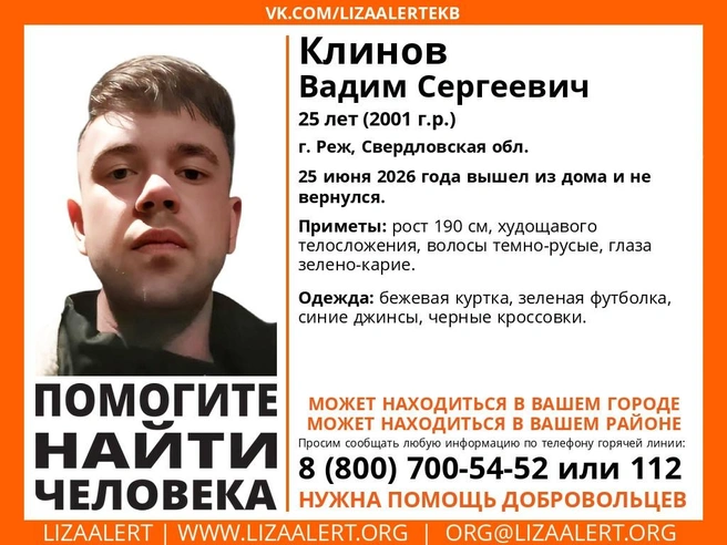 Источник: «ЛизаАлерт» Свердловской области