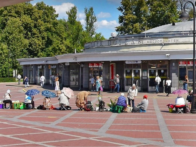 Красная и синяя таблетки. Станции метро в Петербурге готовятся закрывать на ремонт и реконструкцию | Источник: скриншот «Яндекс.Карты»