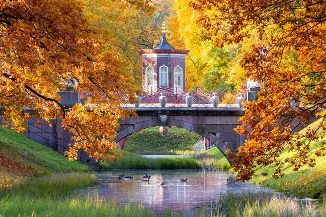 Источник: iStock/Vladislav Zolotov