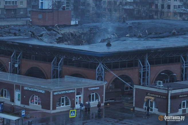 Источник: Михаил Огнев / FONTANKA.RU