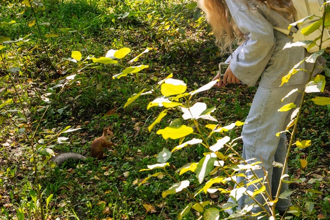 В пешей доступности — не только метро, но и одноименный парк | Источник: Инна Кузнецова