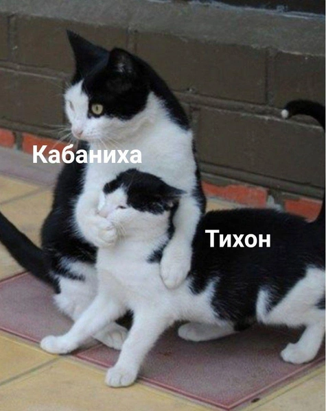 Источник: https://www.maximonline.ru/entertainment/smeshnye-kartinki-i-memy-ponyatnye-tolko-tomu-kto-lyubit-knigi-i-chitat-id6478025/