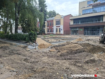 Источник: Алёна Воропаева / Voronezh1.ru