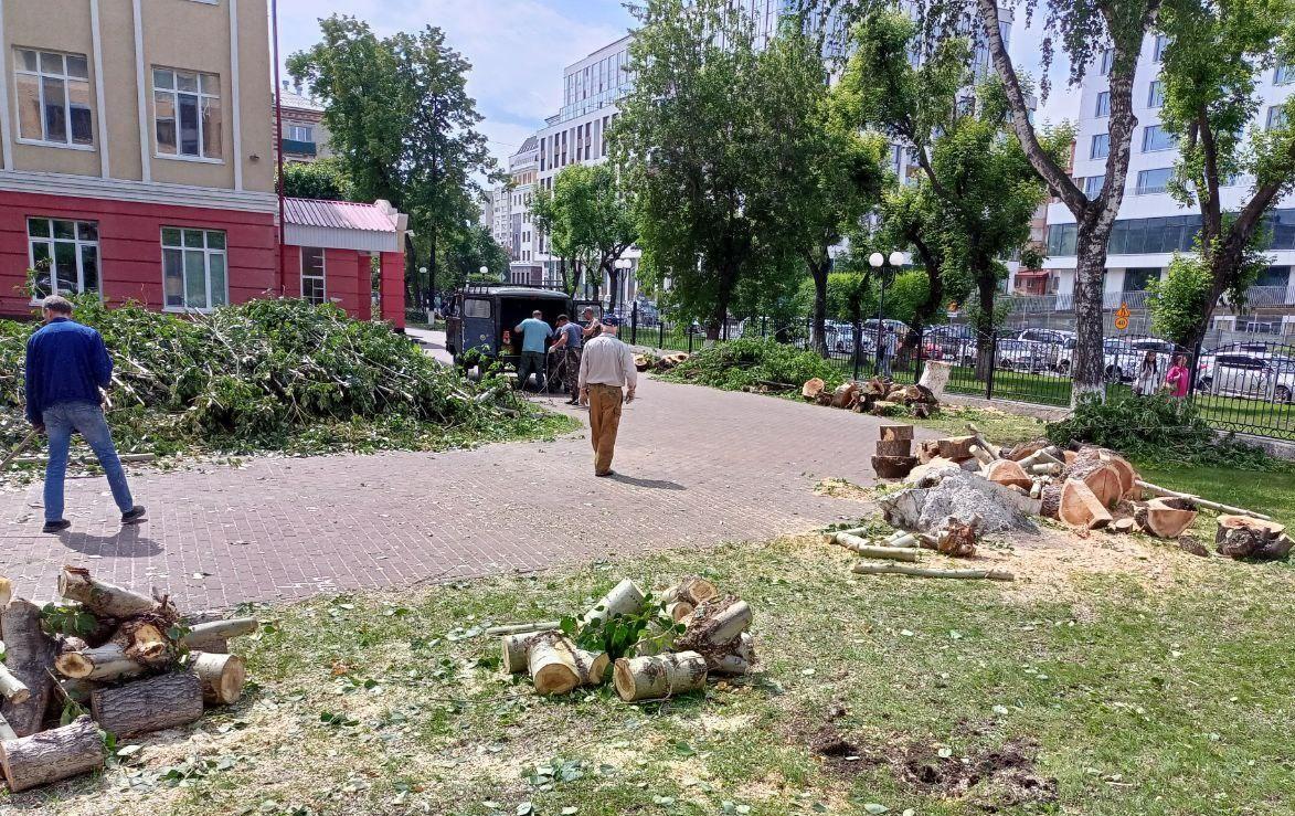 Кому помешали? У здания престижной школы в центре Тюмени вырубили почти все деревья