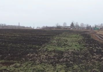 Свалку в Сапожке убрали под контролем приставов | ya62.ru