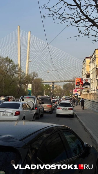 Источник: Елена Буйвол / VLADIVOSTOK1.RU