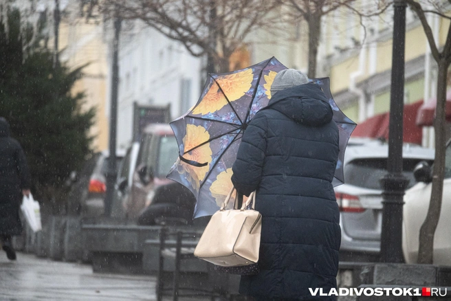 Держитесь крепче! | Источник: Елена Буйвол / VLADIVOSTOK1.RU