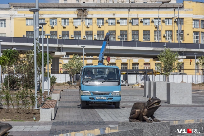 Для доставки и высадки крупномеров пришлось привлекать технику | Источник: Константин Завриков / V1.RU