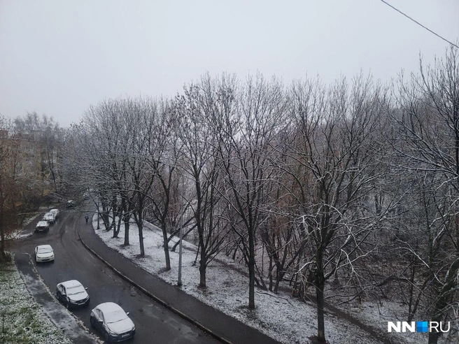 Ночью в городе выпал первый снег | Источник: читатель NN.RU