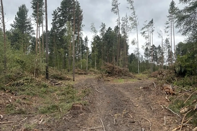 В Томской области усилен контроль за лесозаготовкой и пожарной безопасностью