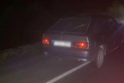 В Домбаровском районе под колесами «четырнадцатой» погибла пенсионерка