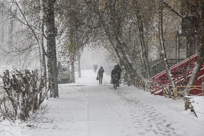 Метель в Нижнем Новгороде: как долго продлится снегопад