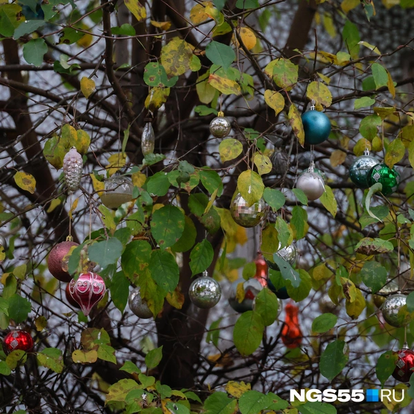 К Новому году всегда готовы! | Источник: Евгений Софийчук / NGS55.RU