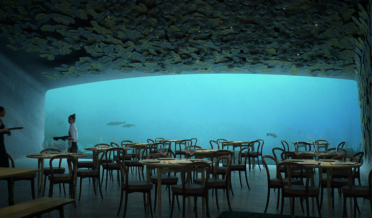 Подводный ресторан в Норвегии фото [3]