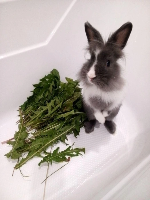 Полезного вам завтрака! И обеда! И ужина! | Источник: читатель 63.RU