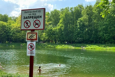 Москвичи заполонили пляж в Кусково: пруды похожи на болота