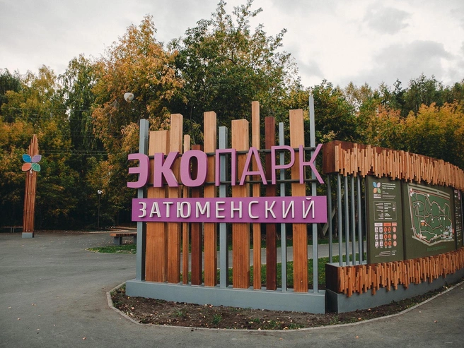 В экопарке «Затюменский» можно прогуляться по благоустроенным тропам среди деревьев. | Источник: Ирина Шарова / 72.RU