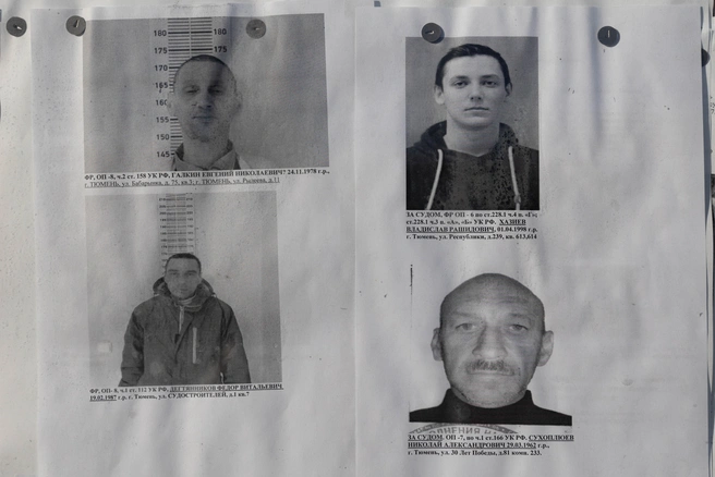 Источник: Ирина Шарова / 72.RU