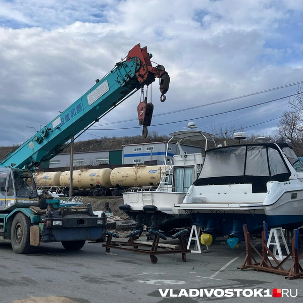 Источник: Елена Буйвол / VLADIVOSTOK1.RU