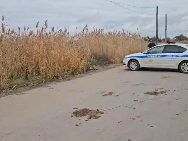 В автомобиле находились четыре человека | Источник: Госавтоинспекция Волгоградской области