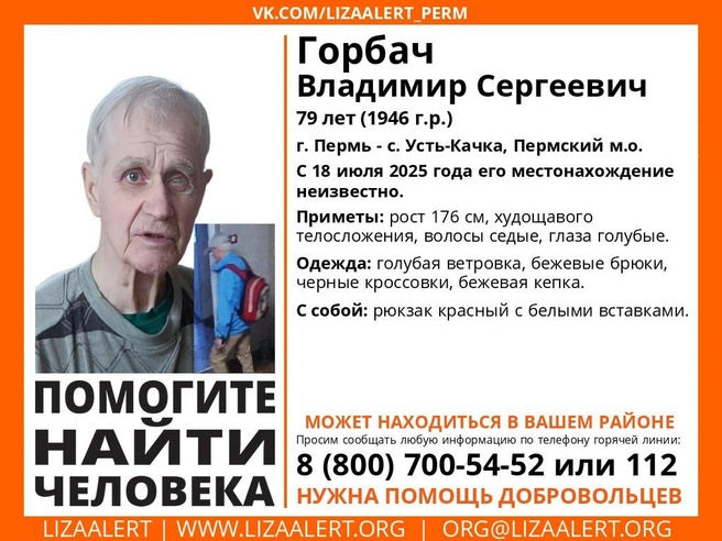 Источник: Поисковый отряд «ЛизаАлерт» Пермского края / Vk.com