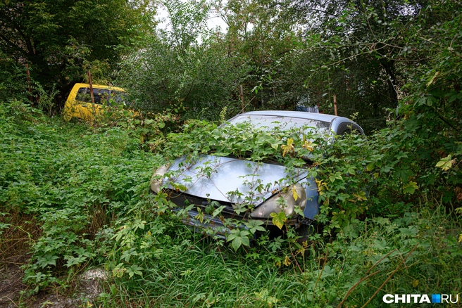 Городские власти считают, что брошенные автомобили плохо влияют на облик Самары или могут использоваться террористами | Источник: Олег Фёдоров / CHITA.RU