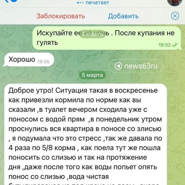 Источник: Дарья Сапова