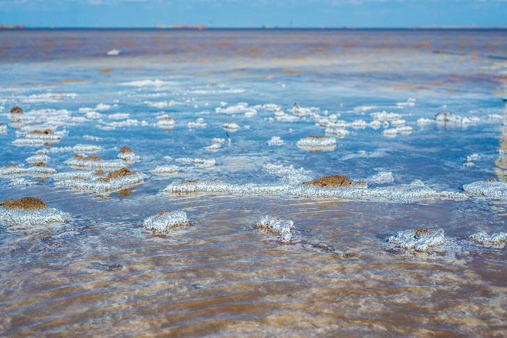 Мертвые моря а-ля рюс: соленые озера России