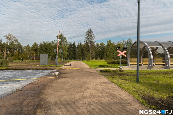 Деревьев в парке стало ощутимо меньше | Источник: Мария Ленц / NGS24.RU