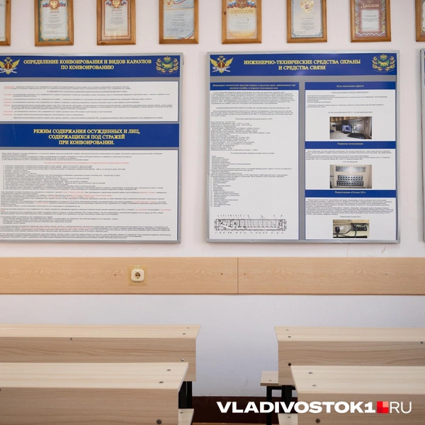 Источник: Елена Буйвол / VLADIVOSTOK1.RU