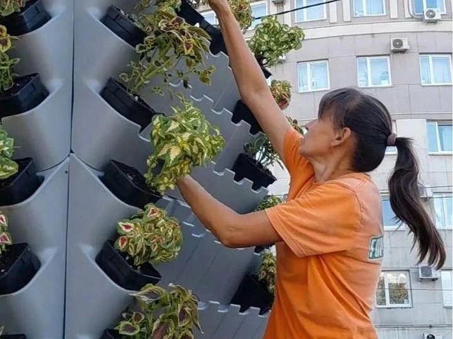 Такие клумбы — сборные | Источник: Анна Кобякова, Администрация города Челябинска