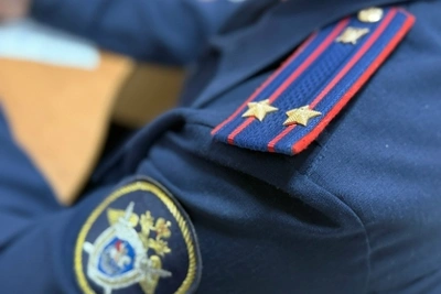 Житель Саранска осужден за нападение на полицейских