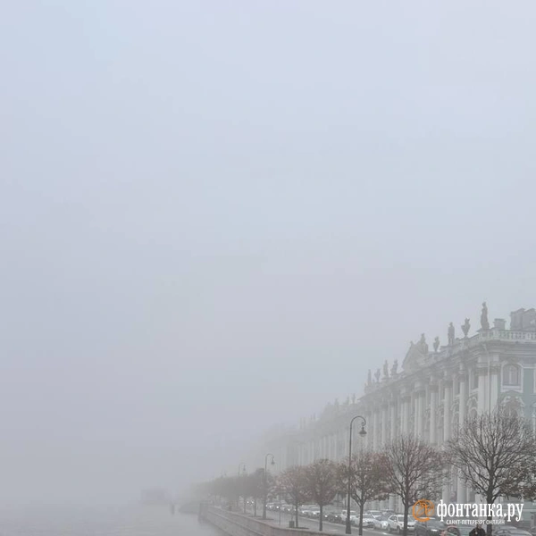 Источник: читатель «Фонтанки»