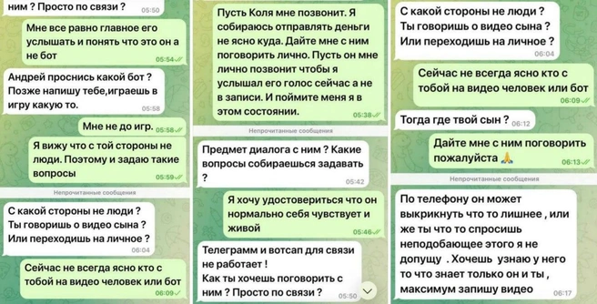 Переписка отца подростка с «вымогателями» | Источник: Прокуратура Красноярского края / Telegram
