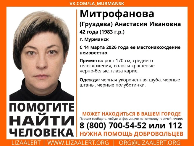 Источник: поисковый отряд «ЛизаАлерт» Мурманской области / Vk.com