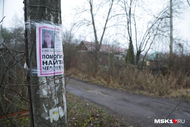 Источник: Дмитрий Толстошеев / MSK1.RU