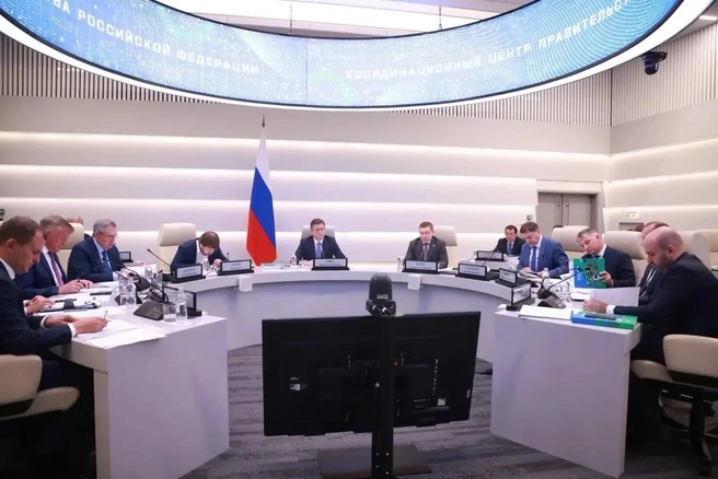 Расширение программы газификации обсудили на заседании федерального штаба в Москве | Источник: пресс-служба правительства Самарской области
