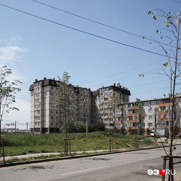Источник: Дарья Паращенко / 93.RU
