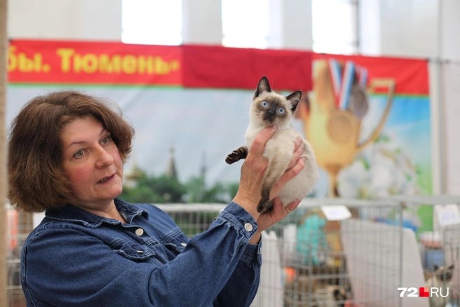Котенок Гав пожаловал на тюменскую выставку | Источник: Булат Нагимов