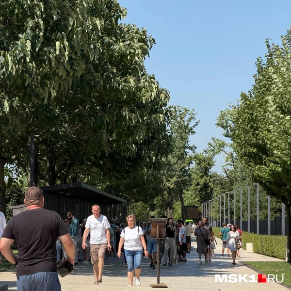 Зато в Парке Галицкого всё так же огромные очереди желающих попасть в Японский сад | Источник: Вера Борисова / MSK1.RU