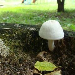 Служба призывает соблюдать меры безопасности в период ухудшения погодных условий | Источник: www.city-n.ru