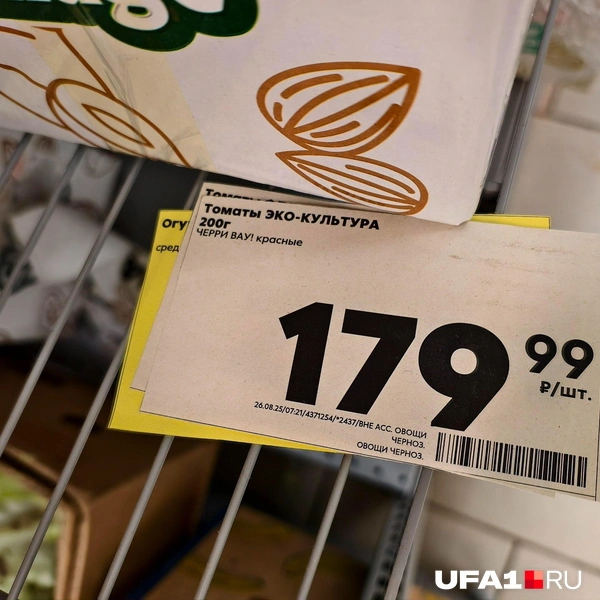 Источник: Булат Салихов / UFA1.RU