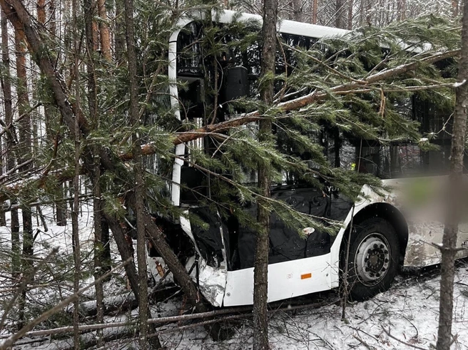 В Усть-Илимске внедорожник врезался в автобус | Источник: ГУ МВД по Иркутской области / T.me