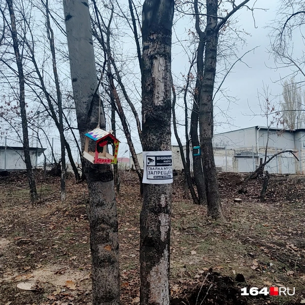 Источник: Сергей Гендин / 164.RU