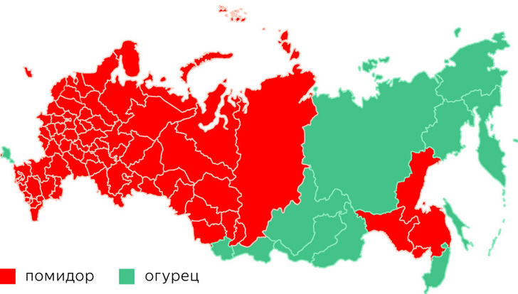 «Яндекс» провел исследование, какие продукты заготавливают на зиму в разных регионах России (карта)